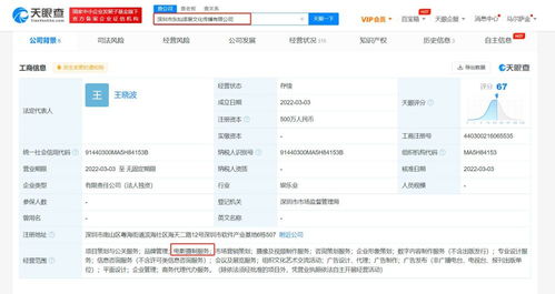 项目策划与公关服务 从构想到影响力的系统化解决方案